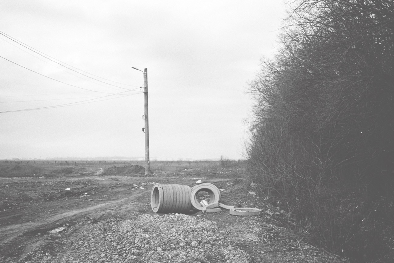 empty field next to the forest